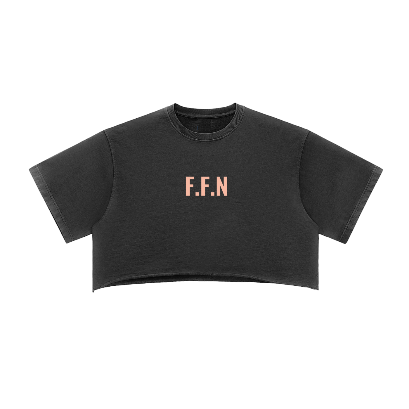 Snow Washed Raw Edge Crop Top